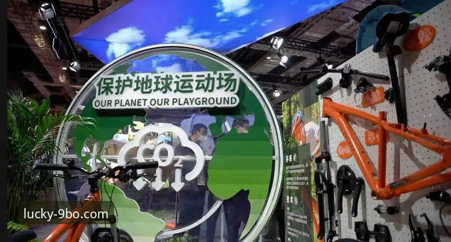 9博体育平台官网入口详解:如何选择靠谱的博官网